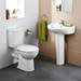 Armitage Shanks Sandringham 21 Smooth Close Coupled WC + Soft Close Seat profile small image view 2 