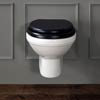 Silverdale Empire Wall Mounted Pan - Excludes Seat profile small image view 1 