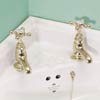Silverdale Victorian Cloakroom Basin Pillar Taps Gold profile small image view 1 