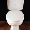 Silverdale White Soft-Close Thermoset Toilet Seat profile small image view 1 