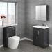 Solace Back to Wall Toilet with Soft Close Seat + Concealed Cistern profile small image view 2 