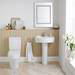 Toronto BTW Close Coupled Toilet with Soft-Close Seat profile small image view 2 