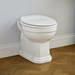 Ideal Standard Waverley Back to Wall Toilet Pan profile small image view 3 
