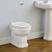 Ideal Standard Waverley Back to Wall Toilet Pan profile small image view 4 
