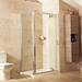 Roman Lumin8 Inward-Opening Shower Door - Various Size Options profile small image view 2 