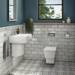 Valencia Wall Hung Toilet with Soft Close Seat (inc. Chrome Flush + Concealed Cistern Frame) profile small image view 5 