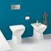 Villeroy and Boch O.novo Back to Wall Toilet + Soft Close Seat profile small image view 3 