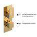 Venice Cubo Twin Thermostatic Shower Valve - Brushed Brass profile small image view 2 