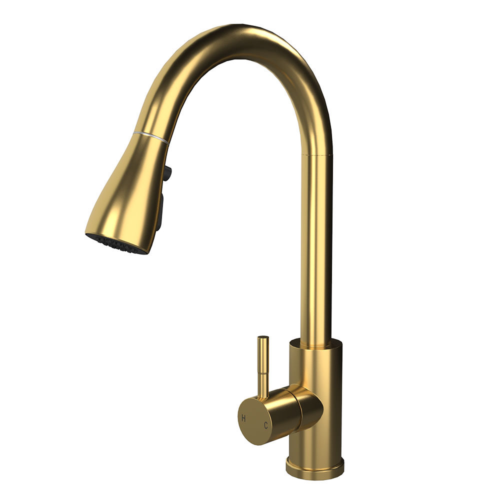 Venice Modern Kitchen Mixer Tap with Swivel Spout &amp; Pull Out Spray - Brushed Brass