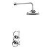 Burlington Severn Thermostatic Concealed Single Outlet Shower Valve with Fixed Head profile small image view 1 