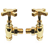 Art Deco Traditional Angled Cross Head Radiator Valves - Vintage Gold profile small image view 1 