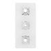 Astoria Traditional Triple Concealed Thermostatic Shower Valve profile small image view 7 