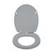 Croydex Lugano Grey Flexi-Fix Toilet Seat with Soft Close and Quick Release - WL601031H profile small image view 3 