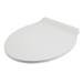 Croydex Flexi-Fix Michigan White Anti-Bacterial Toilet Seat with Soft Close and Quick Release - WL601622H profile small image view 3 