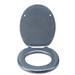 Croydex Flexi-Fix Blue Quartz Effect Anti-Bacterial Toilet Seat - WL601824H profile small image view 3 