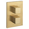 Crosswater - Water Square/Verge Crossbox 1 Outlet Trim & Levers - Brushed Brass profile small image view 1 