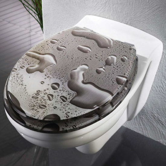 Wenko Waterdrop Polyresin SoftClose Toilet Seat 20545100 at