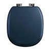 Imperial Radcliffe Soft Close Toilet Seat with Chrome Hinges - Moseley Blue profile small image view 1 