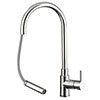 JTP Zeeca Stainless Steel Single Lever Kitchen Sink Mixer with Pull Out Spray profile small image view 1 