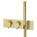 Arezzo Brushed Brass Round Wall Mounted Thermostatic Shower Valve with Handset profile small image view 3 