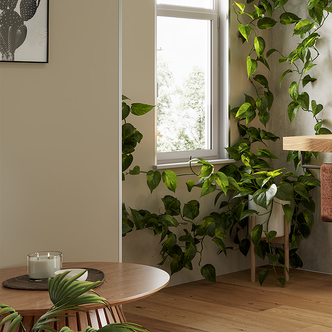 A cosy indoor space with green leafy plants climbing up the wall near a window, wooden flooring, and a round wooden table, creating a fresh, natural atmosphere with plenty of sunlight.