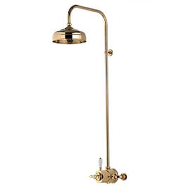 Aqualisa - Aquatique Thermo Exposed Thermostatic Valve with 8&quot; Drencher Head &amp; Riser Rail - Gold - 500.10.04-581.04