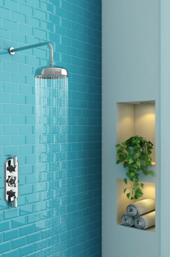 A bathroom plant placed in an alcove next to a traditional fixed head shower