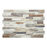 Textured Alps (Mixed) Stone Effect Wall Tiles - 34 x 50cm
