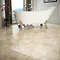 Salerno Cream Travertine Effect Floor Tiles - 450mm x 450mm Profile Large Image