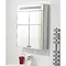 750 x 625mm Stainless Steel Bathroom Cabinet w/ 2 Doors & Light - Ex Display (A) Profile Large Image
