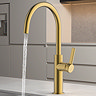 Abode Carbon Single Lever Kitchen Mixer Tap - Brushed Brass