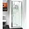 Aegean Pivot Shower Door Profile Large Image
