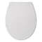 Alaska Oval Slim Toilet Seat  Feature Large Image