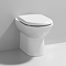 Alaska Rimless Back to Wall Toilet Pan + Soft Close Seat