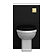 Alchemy 500mm Matt Black WC Unit with Granite Lid & Back to Wall Toilet Set - Brushed Brass Flush