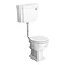 Alison Cork Traditional Low Level Pan & Cistern - AC168 Large Image