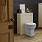 Alverton Ivory 600mm Solid Wood Back To Wall WC Unit with Pan & Seat Profile Large Image