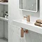 Amos Rose Gold Mono Basin Mixer Tap + Click Clack Waste Feature Large Image