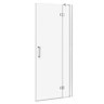 Apollo 700mm Frameless Hinged Shower Door  Profile Large Image