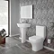 Apollo Modern Short Projection Toilet Inc. Soft Close Seat Profile Large Image