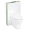 Aqua Cabinets - W550 x D150mm Tablet BTW WC unit with pan, cistern & flush plate - Reef Large Image