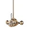 Aqualisa - Aquatique Thermo Exposed Thermostatic Valve with 5" Drencher Head & Riser Rail - Gold - 5
