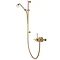 Aqualisa - Aquatique Thermo Exposed Thermostatic Valve with Slide Rail Kit - Gold - 500.10.04-561.04