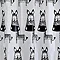 Aqualona Zebra PEVA Shower Curtain - W1800 x H1800mm - 33111 Profile Large Image
