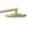 AQUAS Reva Flex Smart 9.5KW Electric Shower - Brushed Brass