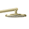 AQUAS Reva Flex Smart 9.5KW Electric Shower - Brushed Brass