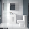 AquaSure Toreno White PVC 600mm Vanity with WC Toilet Unit - 100% Waterproof