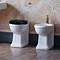 Arcade Back to Wall Bidet - ARC7  Profile Large Image