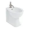 Arcade Back to Wall Bidet - ARC7 Large Image