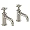 Arcade Basin Pillar Taps - Nickel - Various Tap Head Options Large Image